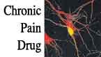 Chronic Pain Drug